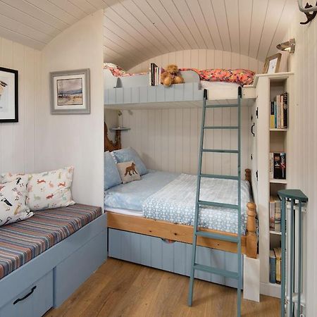 Cow Parsley Shepherd'S Hut Berwick Upon Tweed Extérieur photo