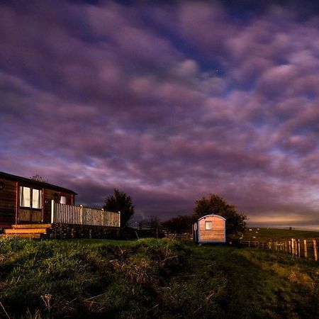 Cow Parsley Shepherd'S Hut Berwick Upon Tweed Extérieur photo