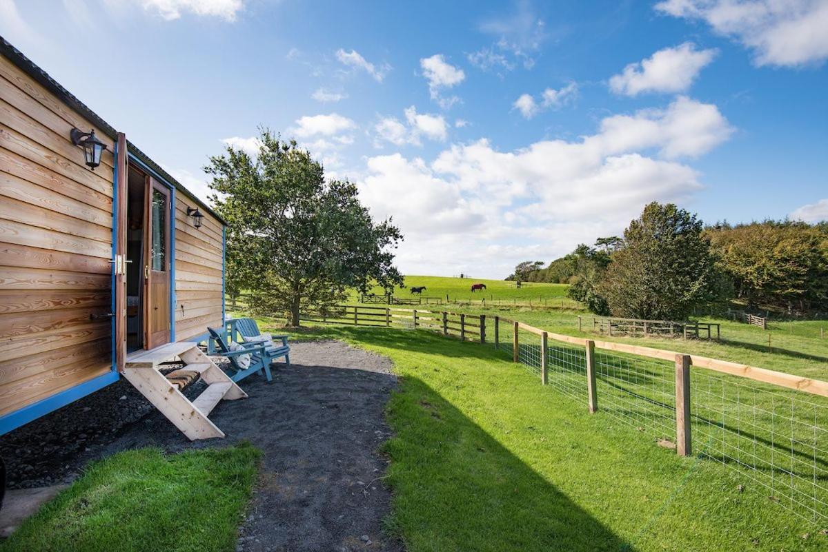 Cow Parsley Shepherd'S Hut Berwick Upon Tweed Extérieur photo