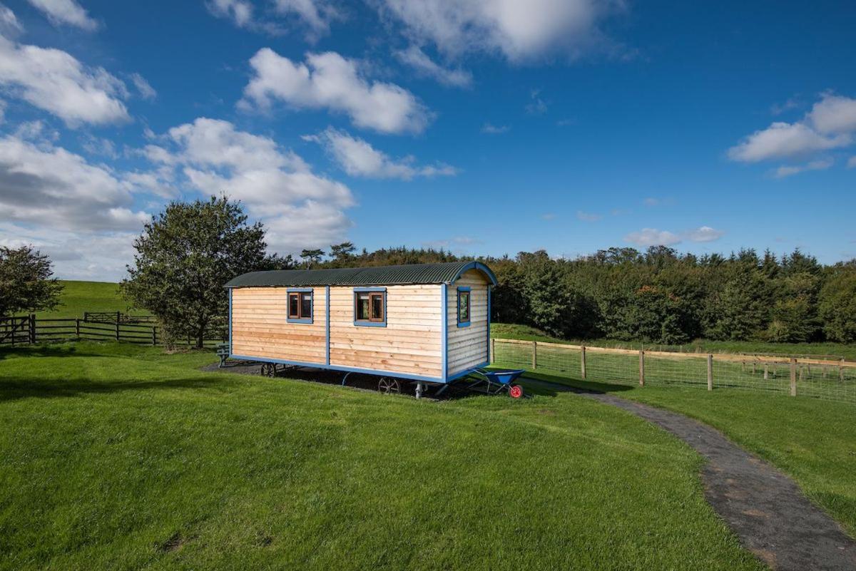 Cow Parsley Shepherd'S Hut Berwick Upon Tweed Extérieur photo