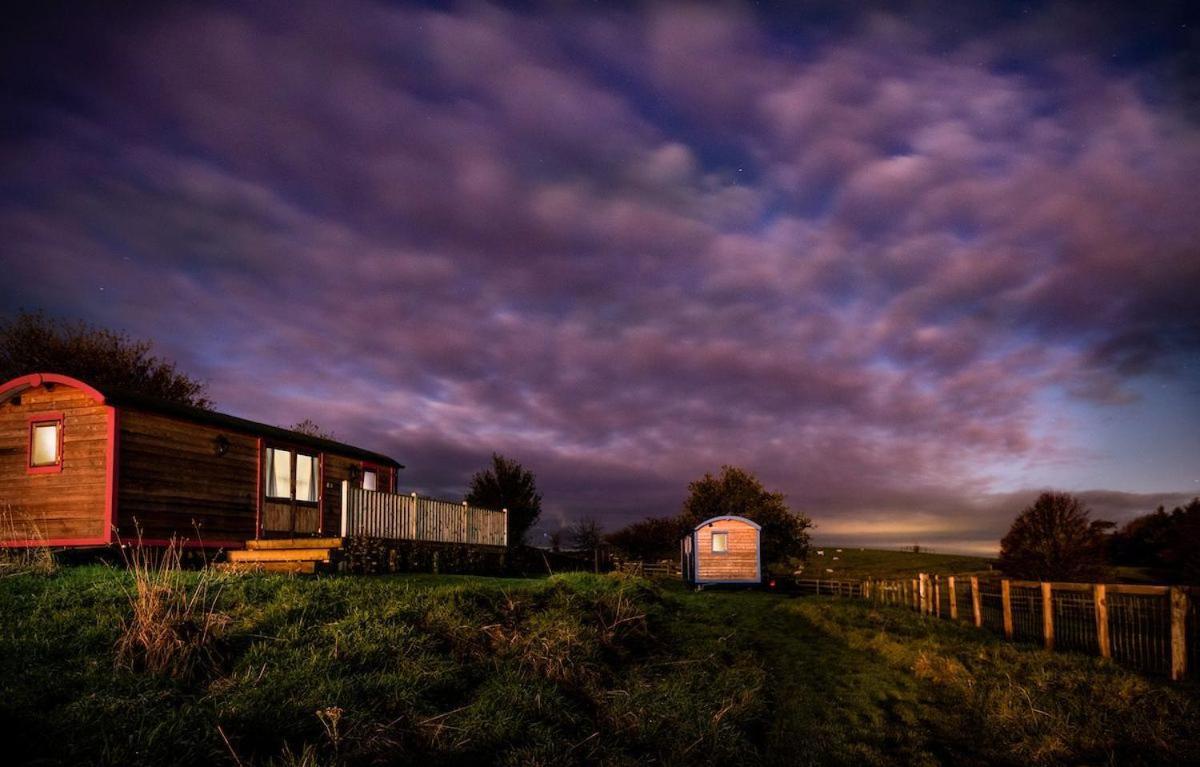 Cow Parsley Shepherd'S Hut Berwick Upon Tweed Extérieur photo
